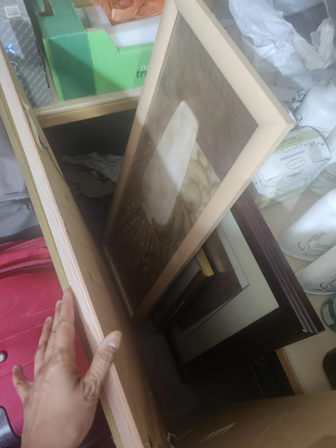 Framed Art Print