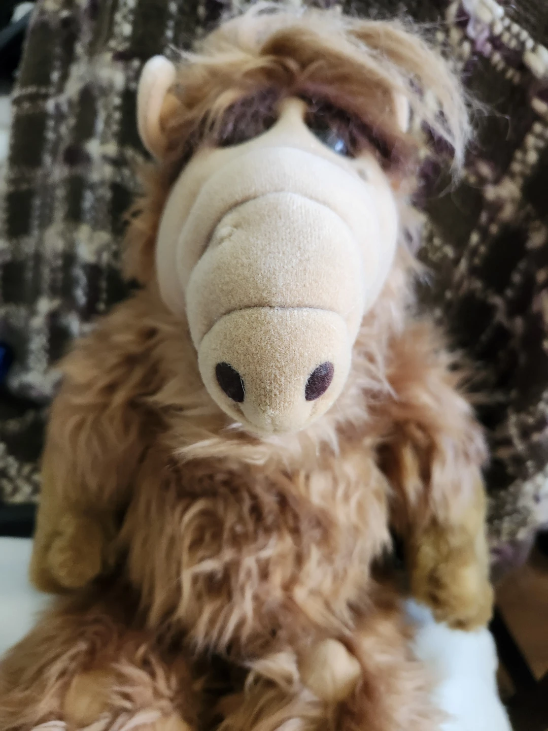 Plush Alf Stuffed Toy - photo 2