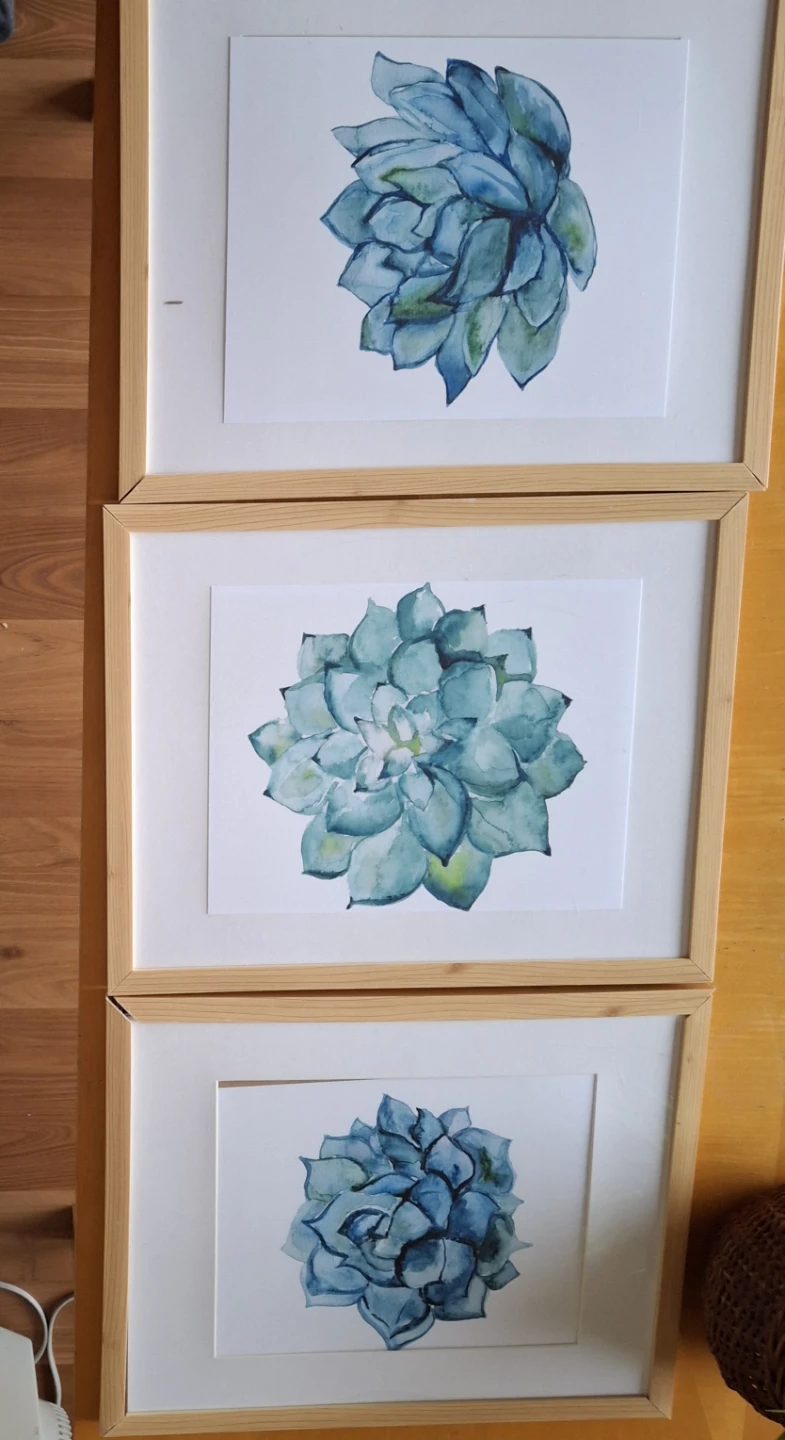 Set of 3 Framed Prints *1 frame needs minor adjustment*