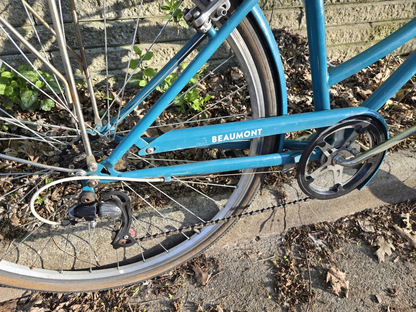 Critical "Beaumont" Women's Cruiser Bicycle - photo 2
