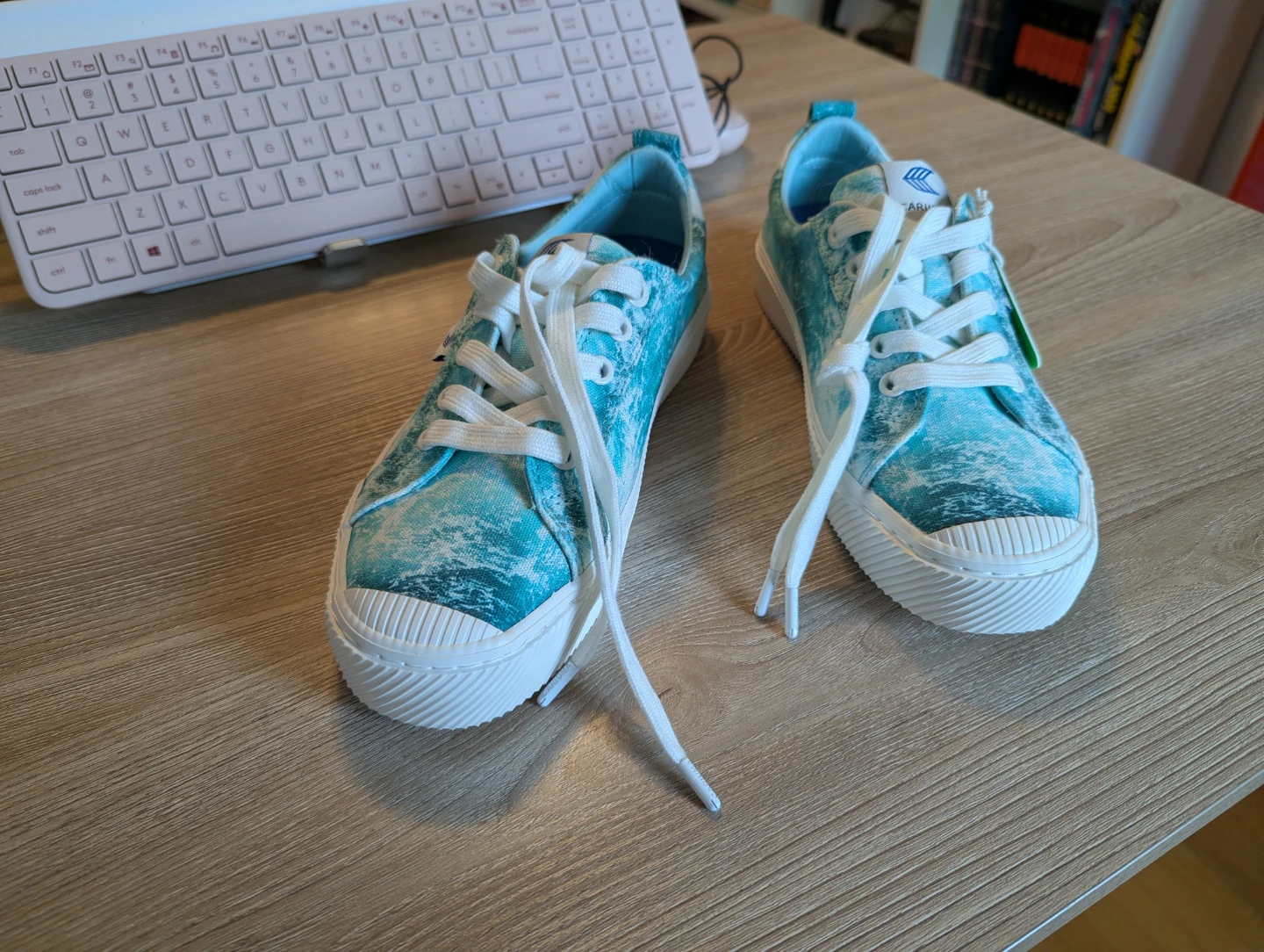Cariuma "Protect Our Oceans" Canvas Low Top Sneakers - photo 2