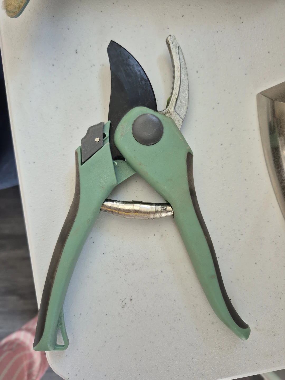 Green Bypass Pruners
