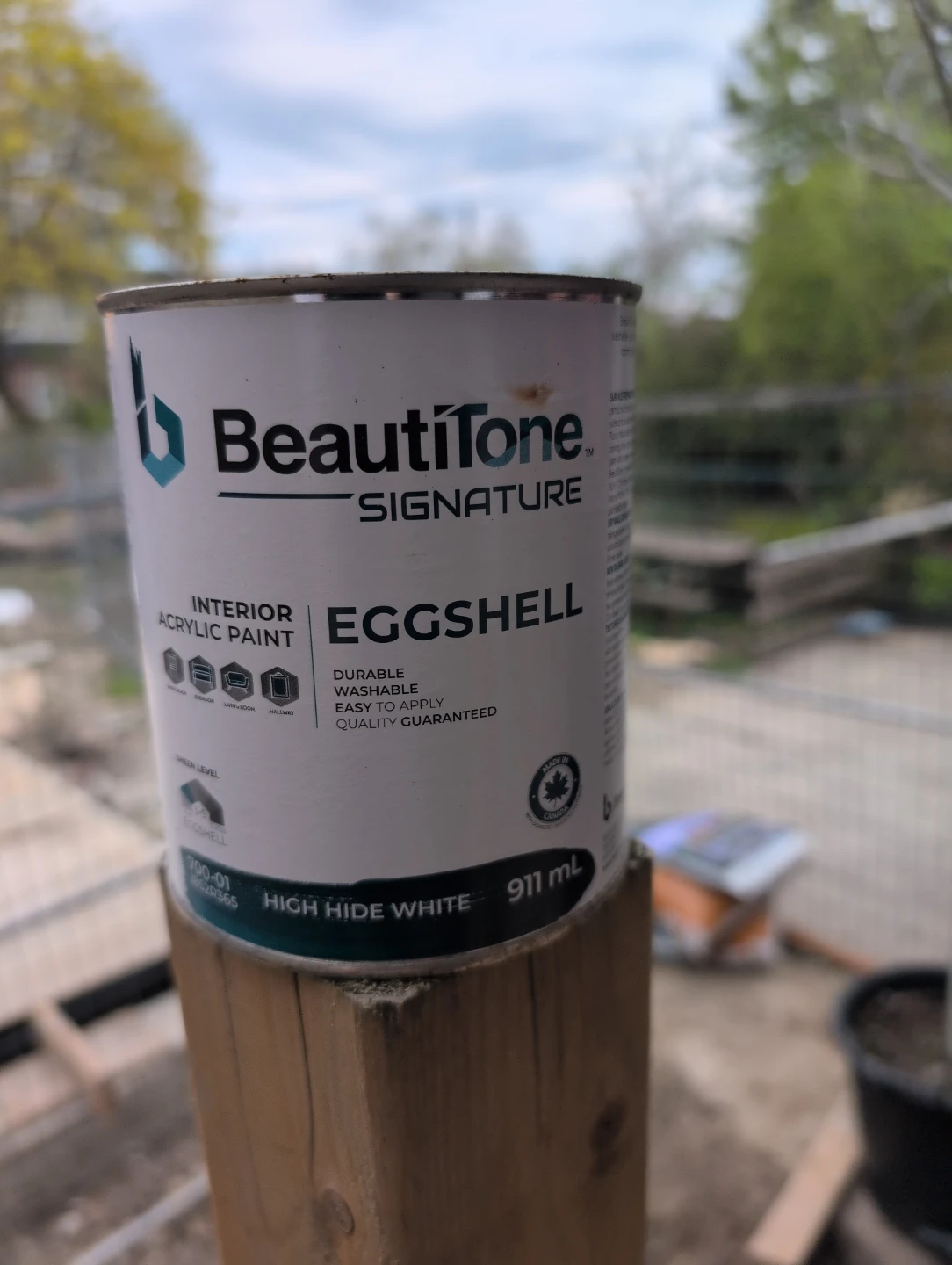 Eggshell Interior Acrylic Paint