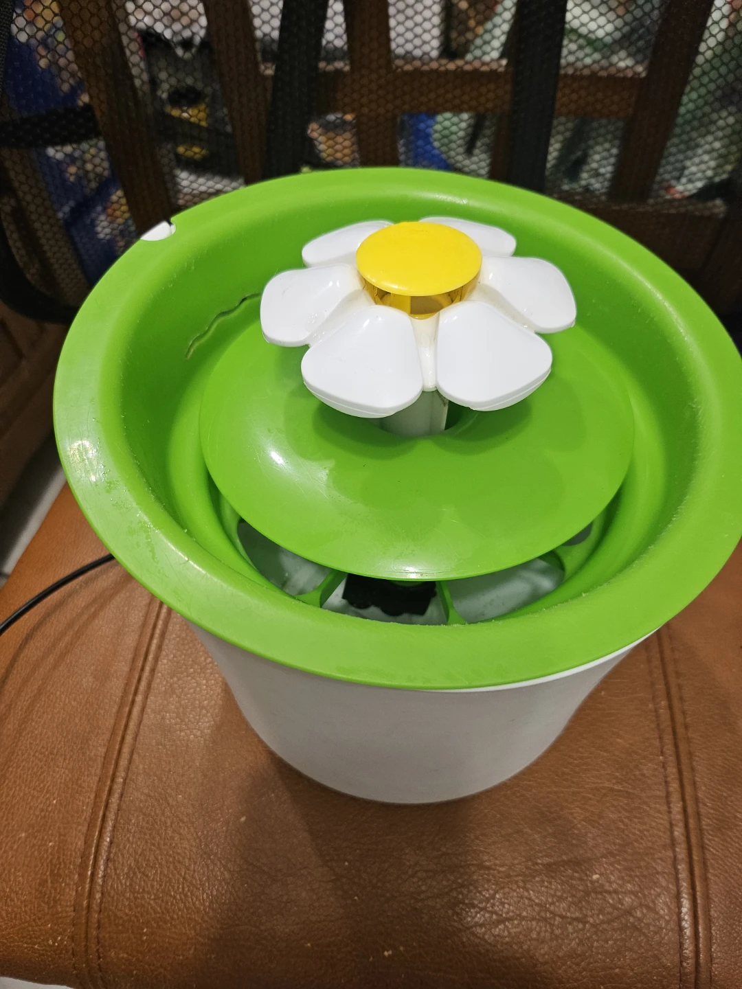 Flower Pet Fountain