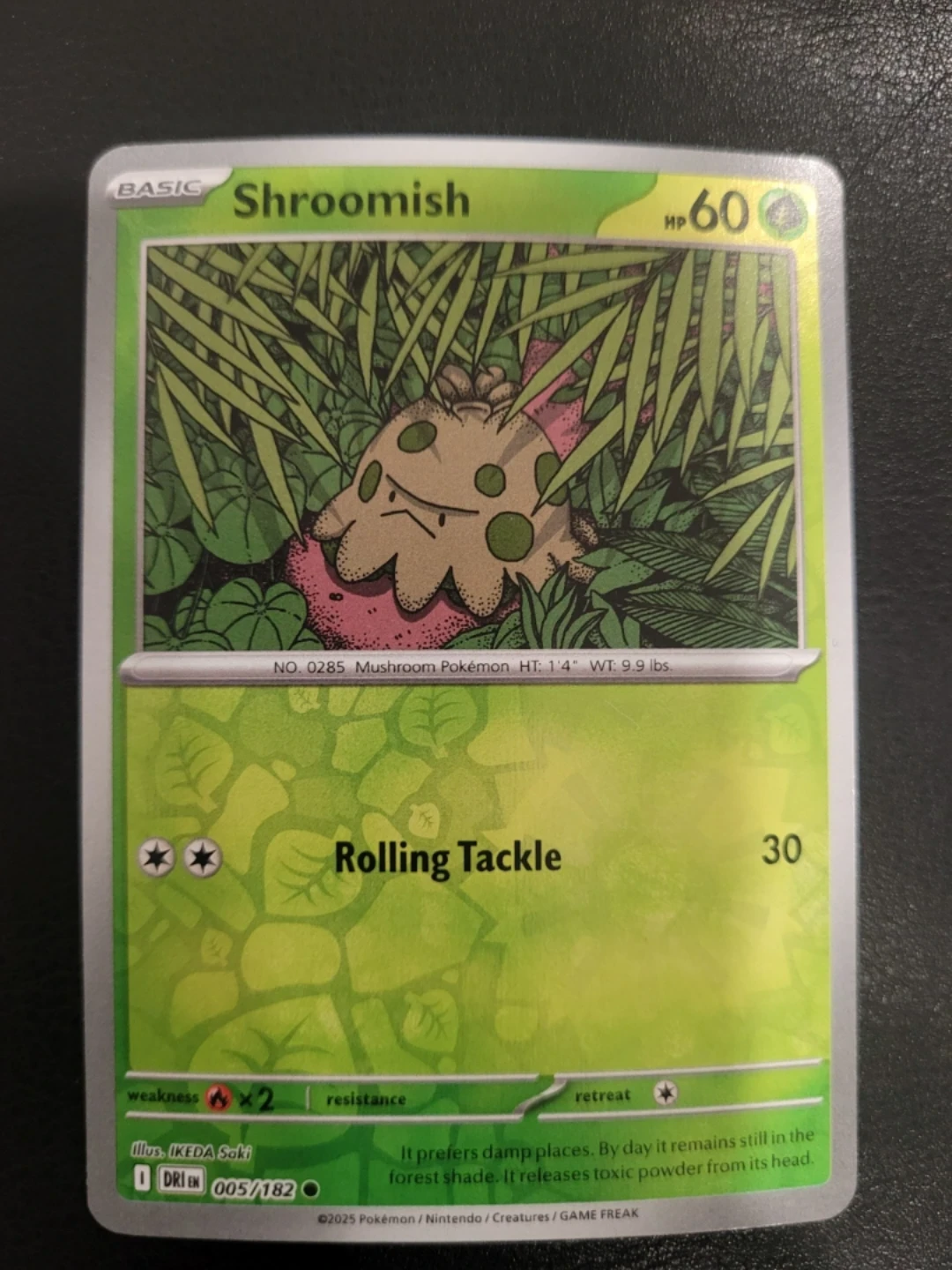 Shroomish Pokemon Card