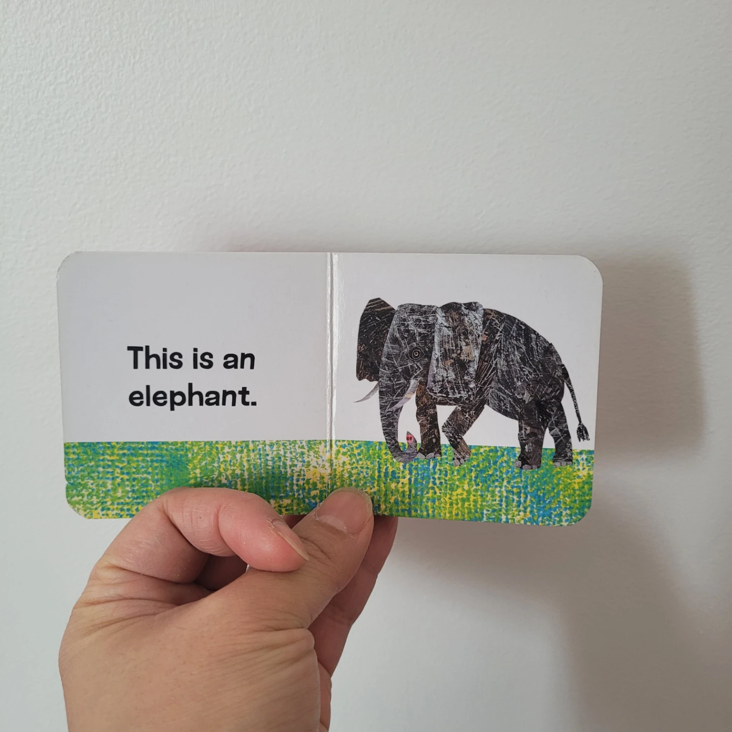 The World of Eric Carle Elephant Board Book - photo 3