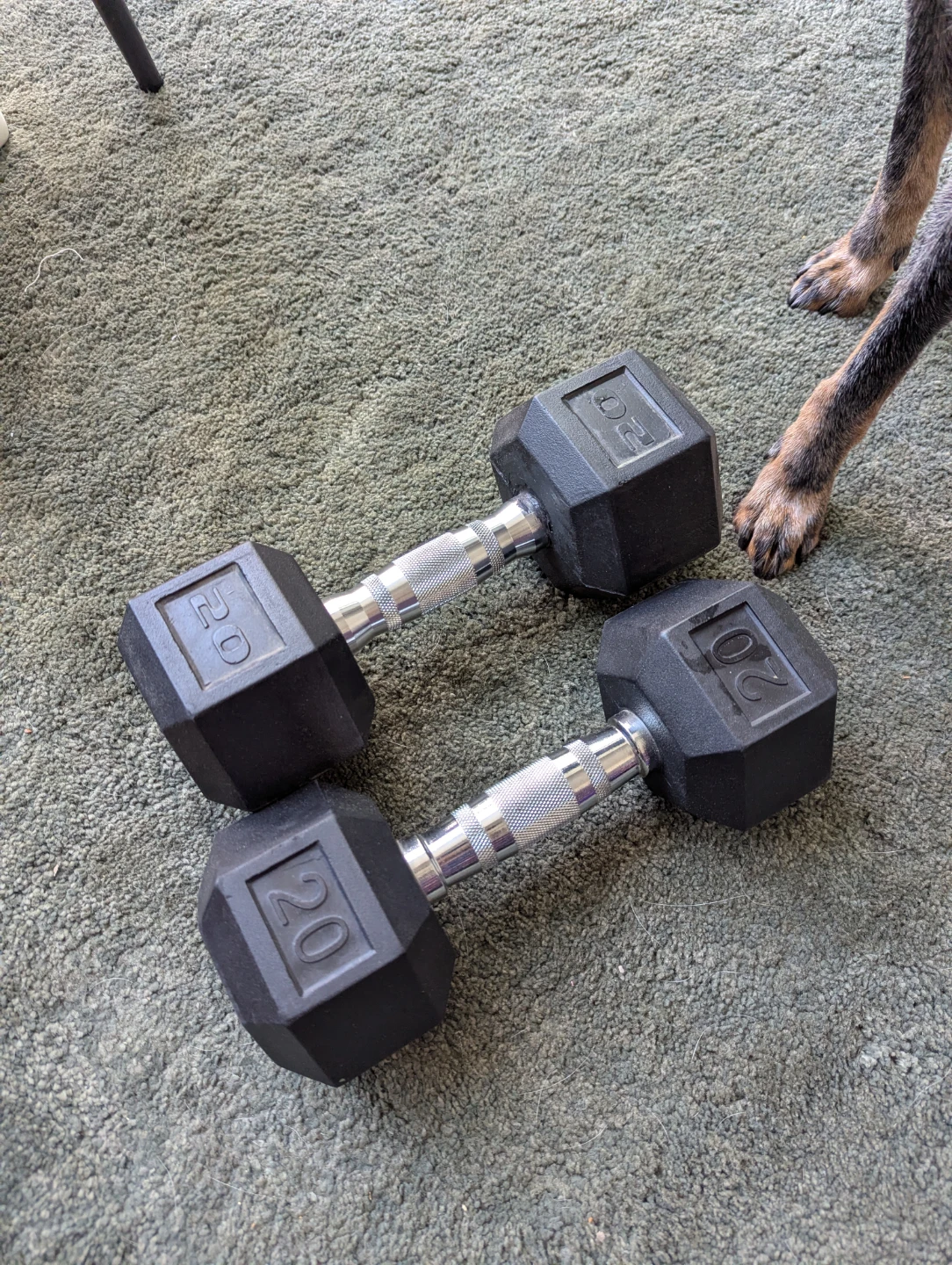 Dumbbells