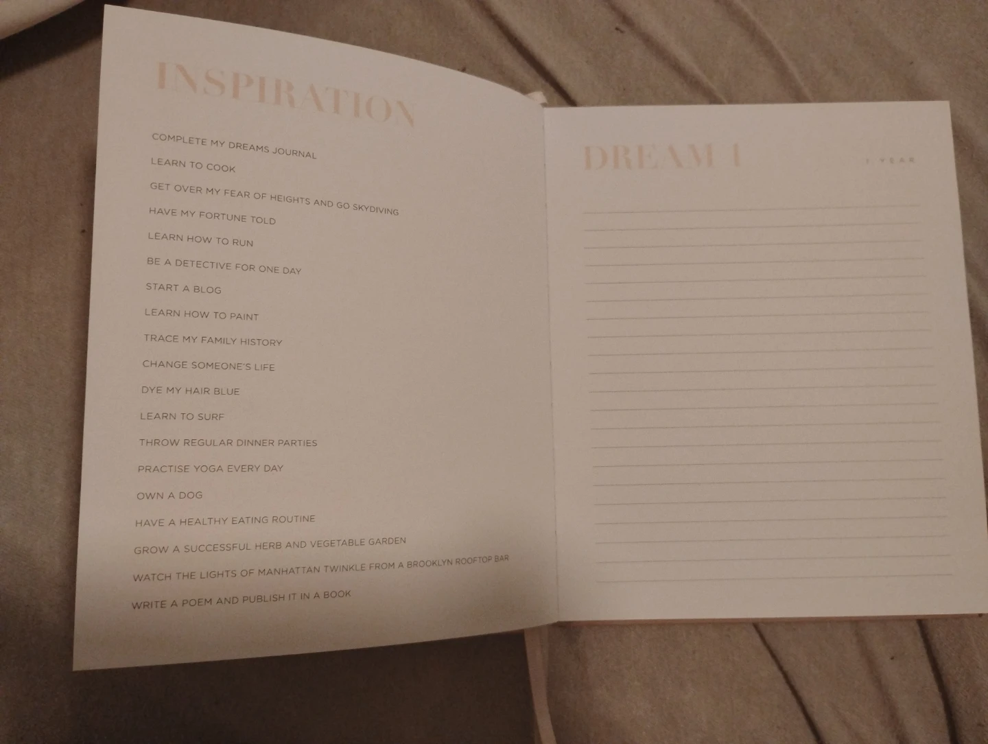 Dreams Journal - photo 4