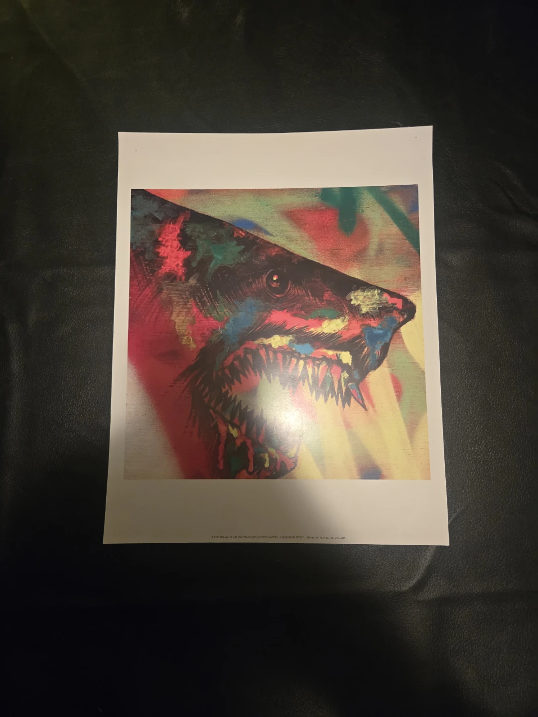Two Art Prints: Panda on Bike & Shark - photo 3
