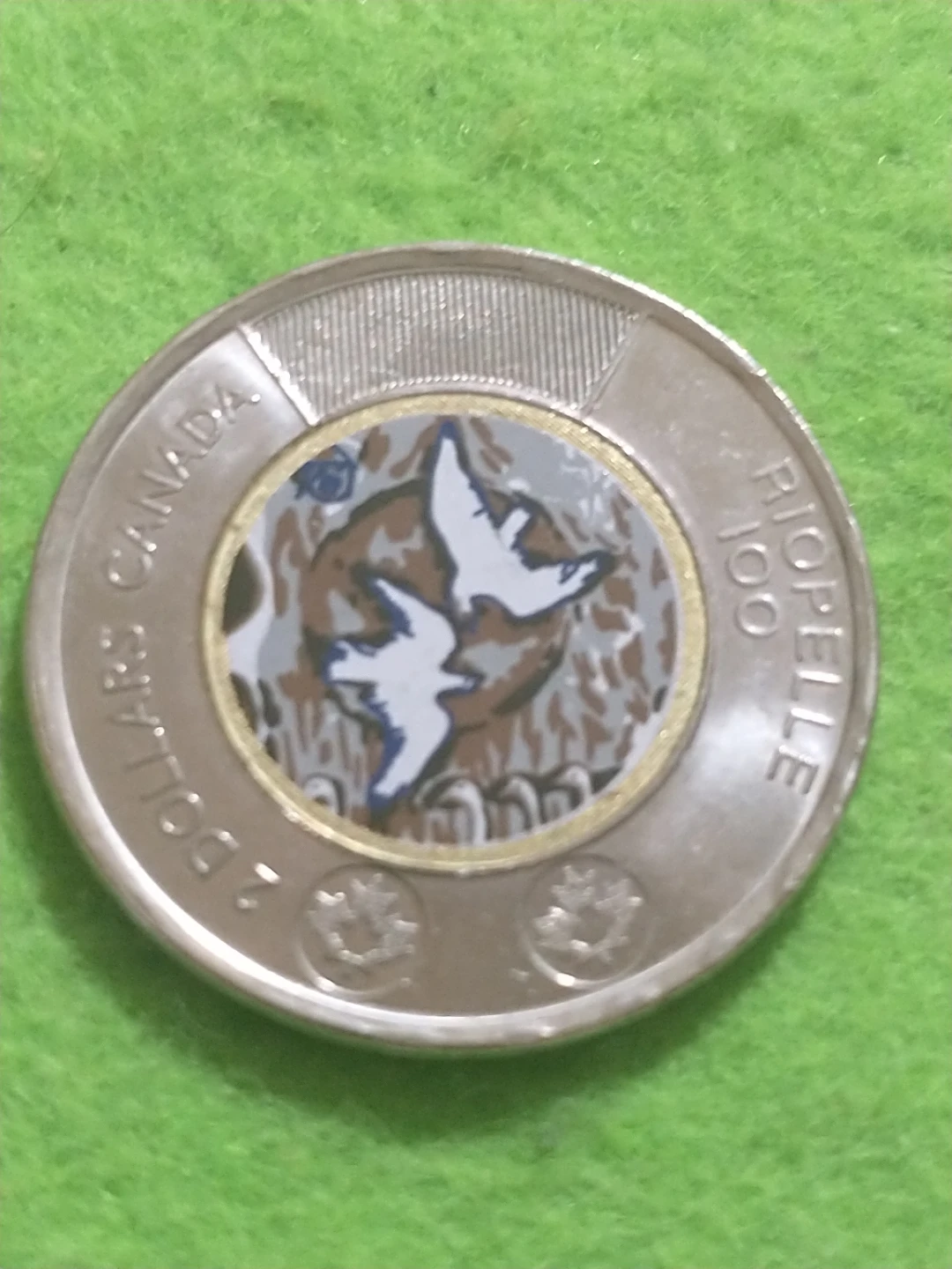 2023 Canada Two Dollar Coin - Colourized Loonie