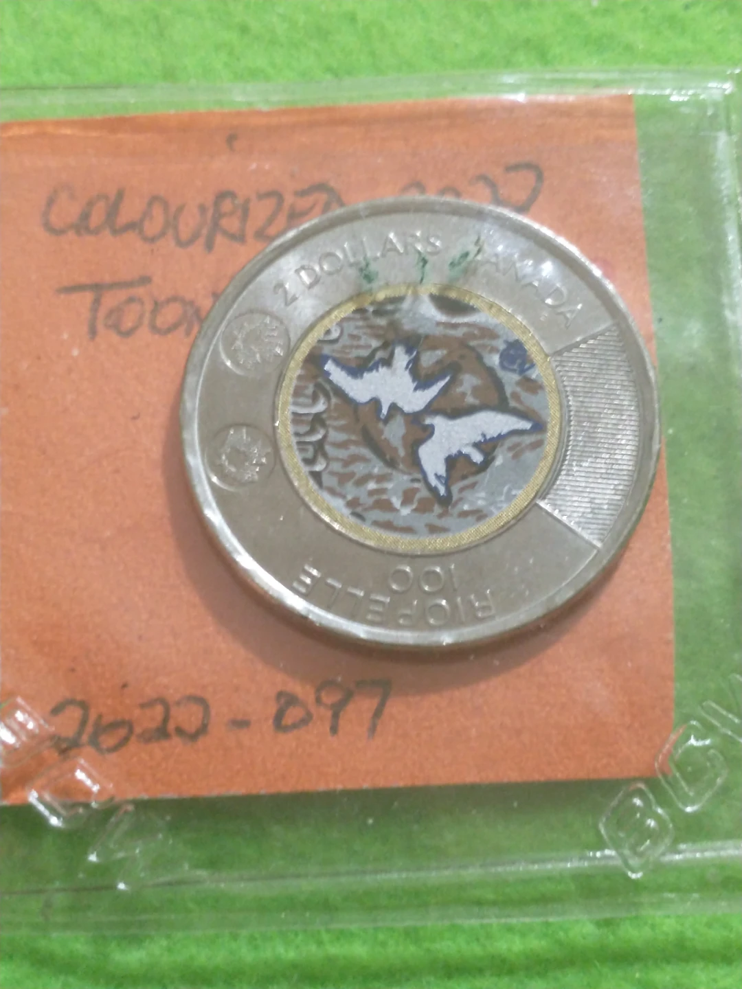 2023 Canada Two Dollar Coin - Colourized Loonie - photo 3