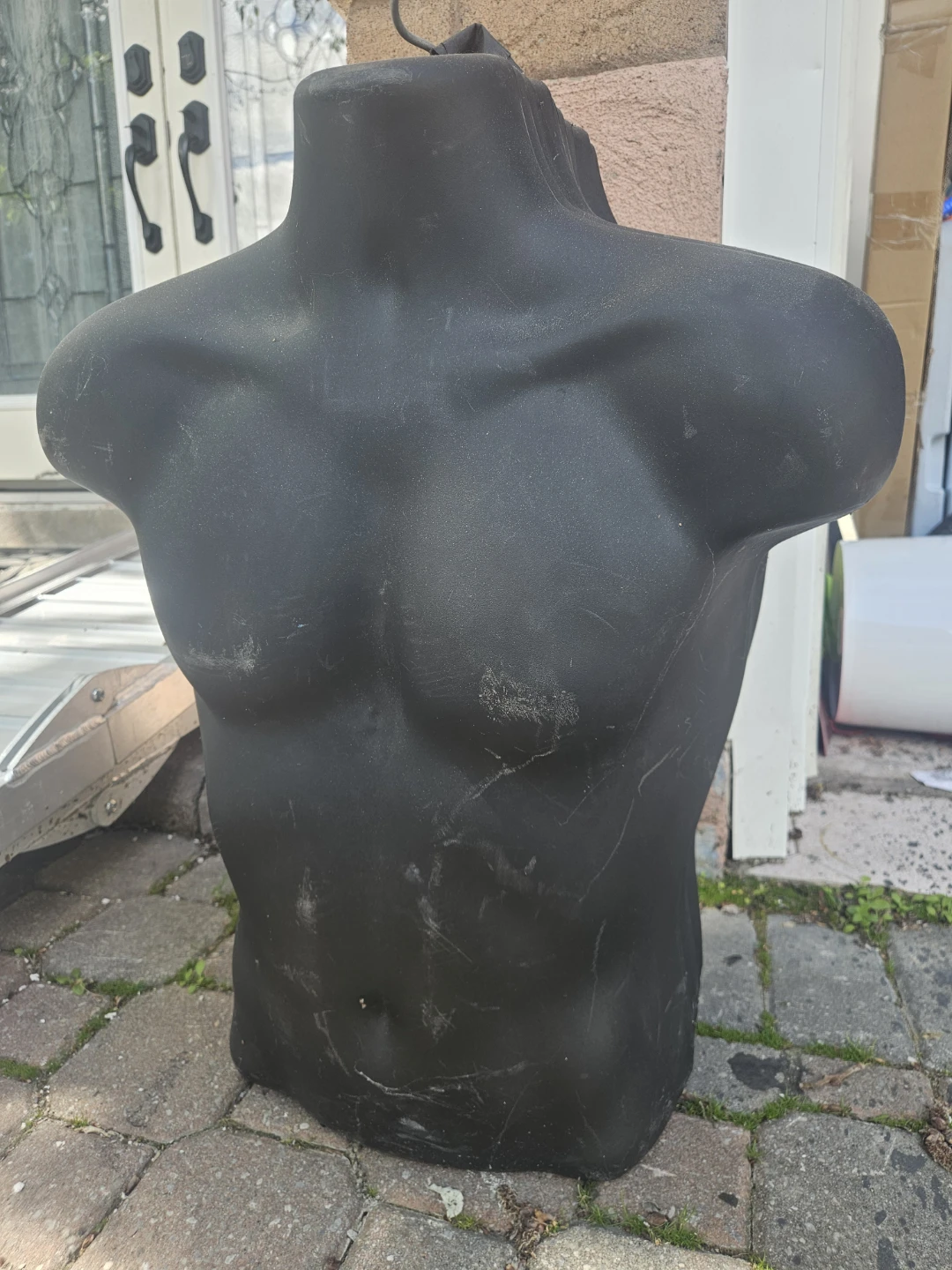 Black Male Mannequin Torso Display Form
