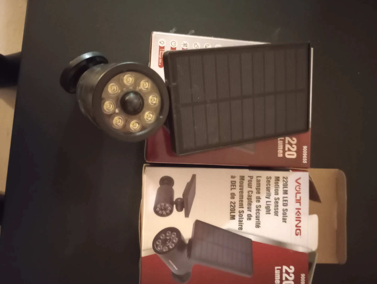 Volt King 220 Lumen LED Solar Motion Security Light