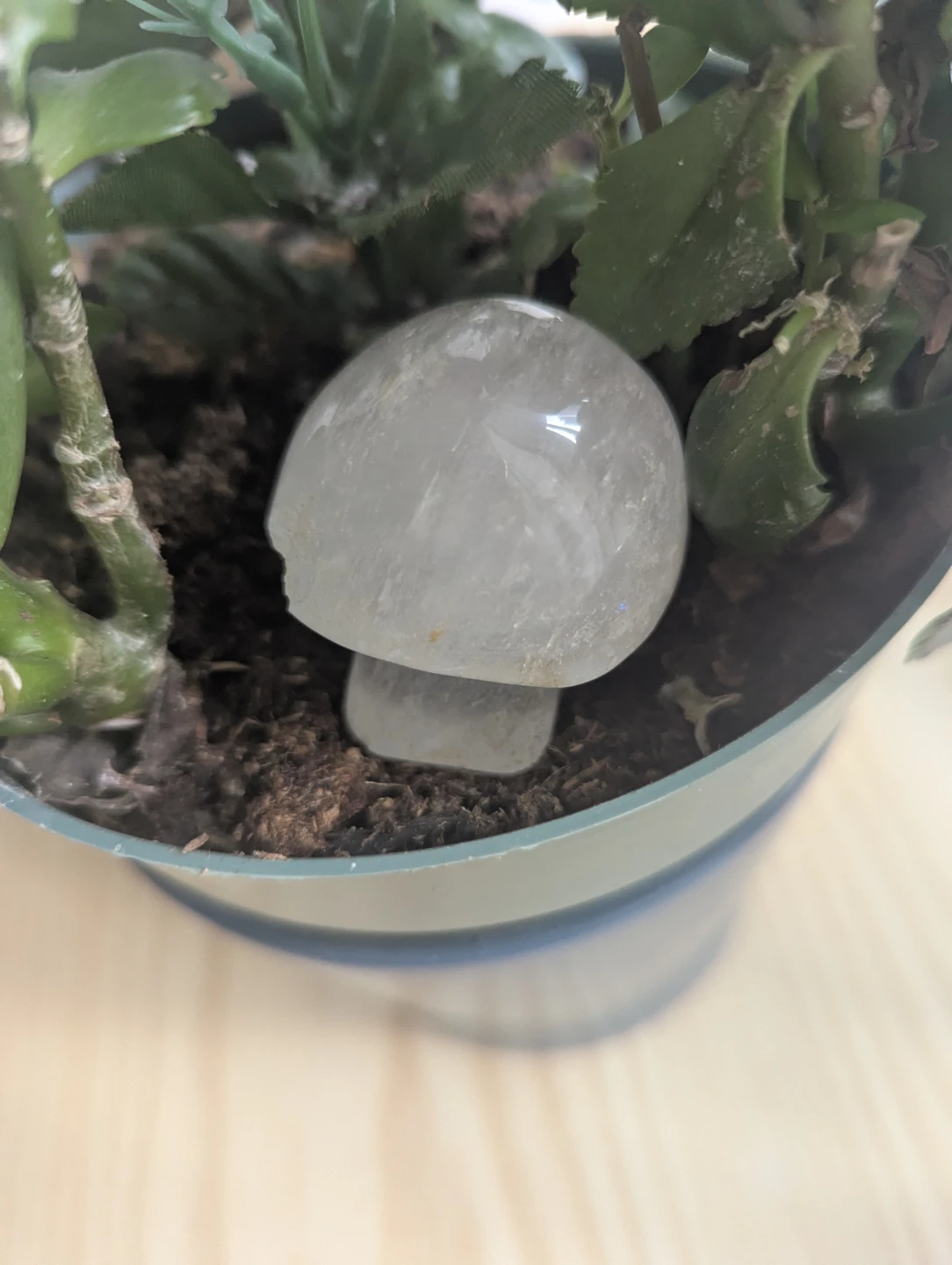 Clear Crystal Mushroom Figurine