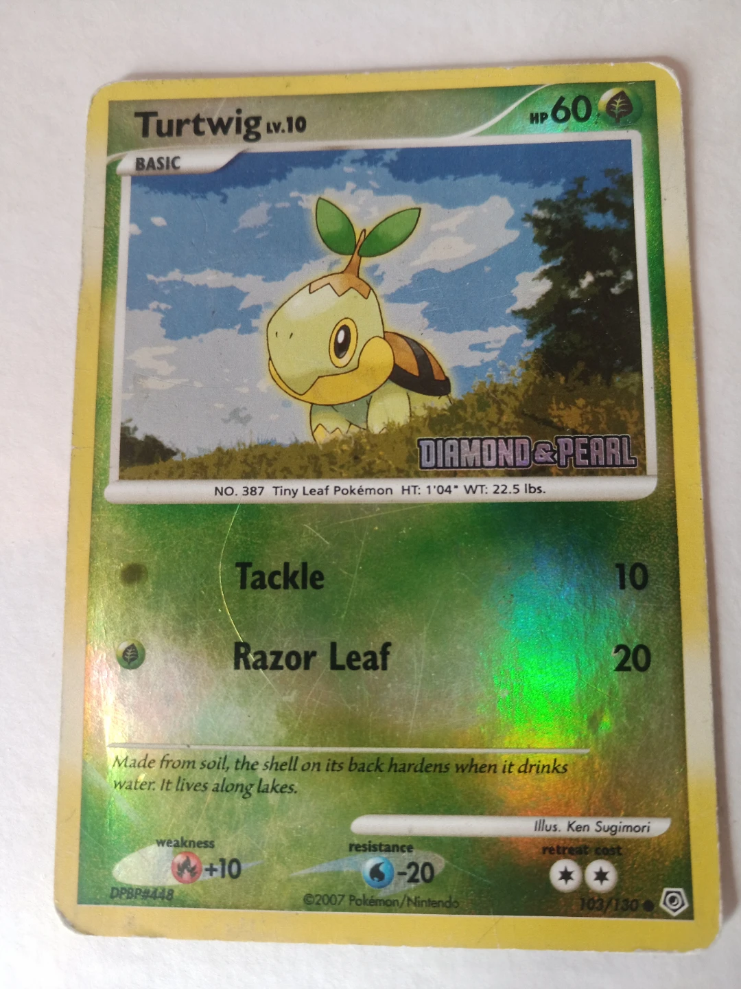 Pokemon Turtwig Diamond & Pearl Trading Card