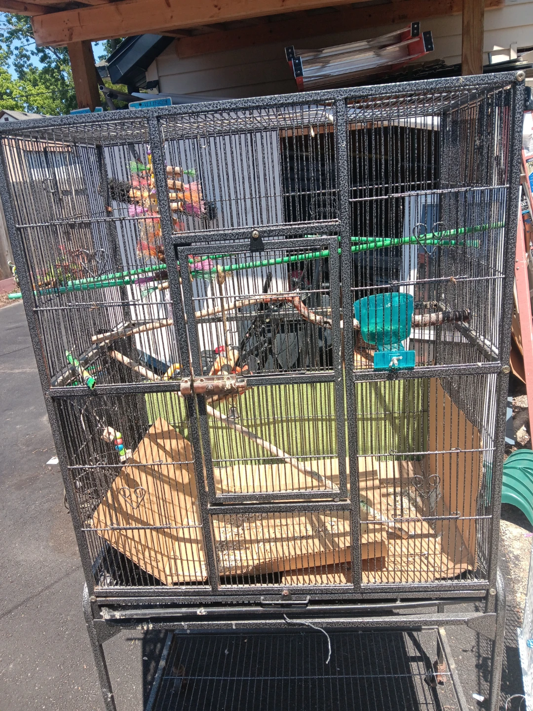 Large Bird Cage with Perches and Toys
