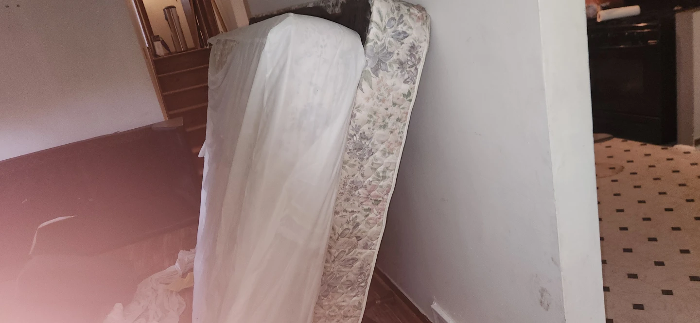 Metal Bed Frame and Mattress