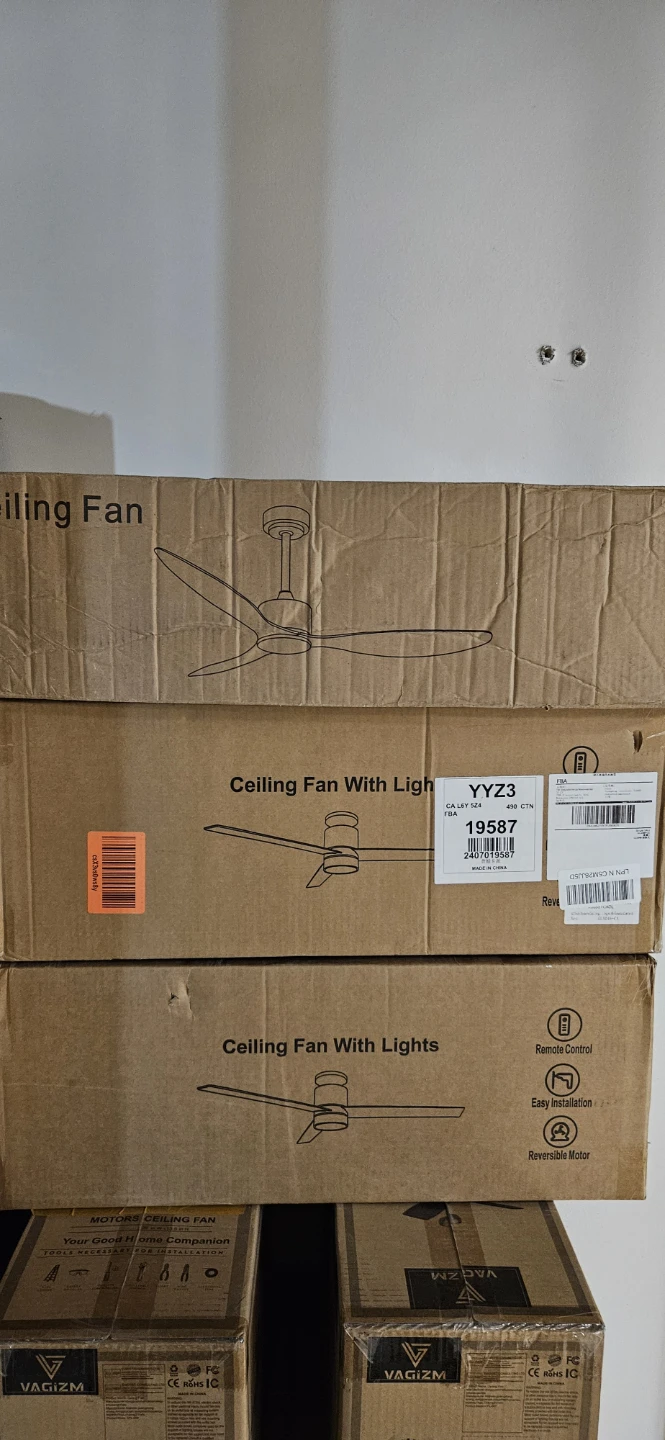 Ceiling Fan with Lights