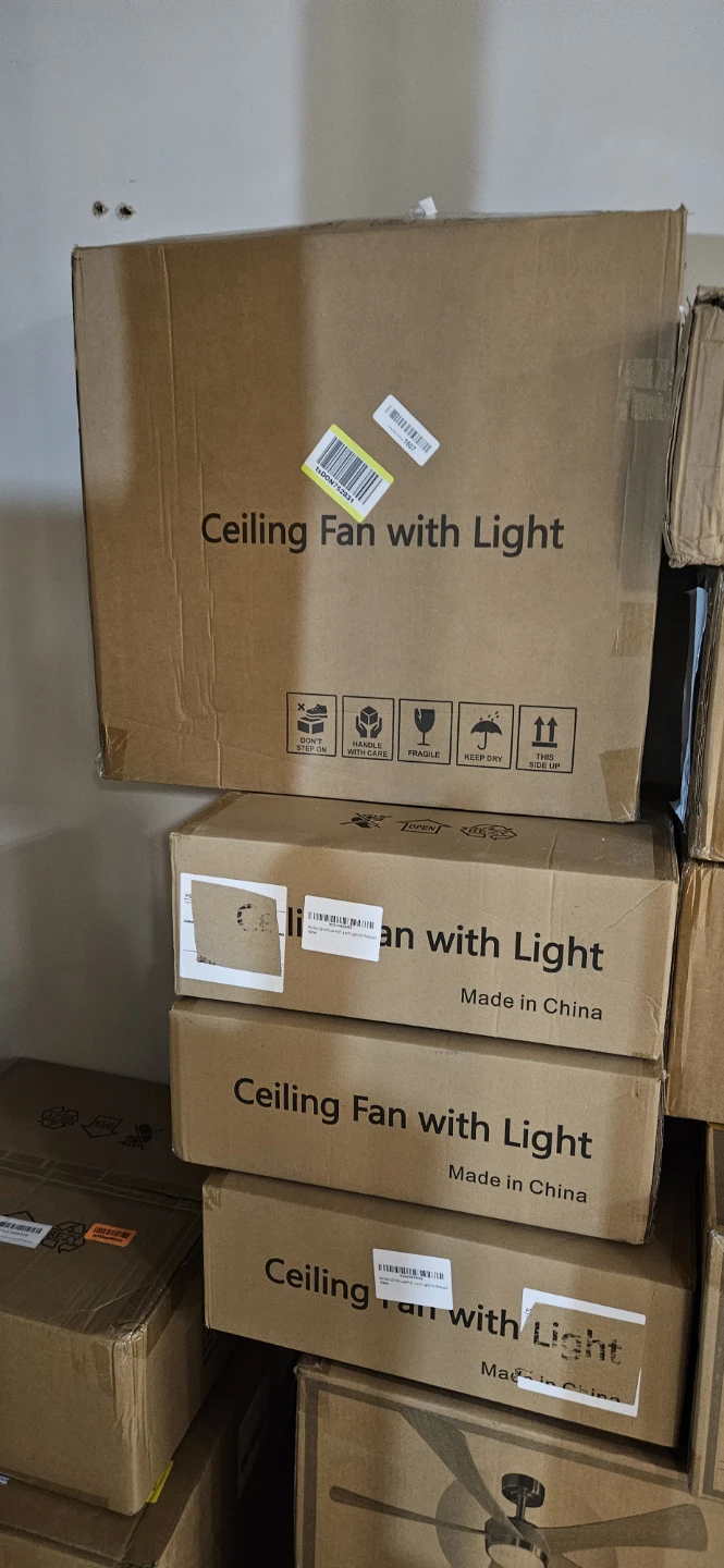 Ceiling Fan with Lights - photo 3