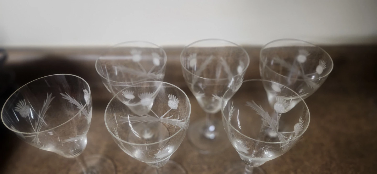 Set of 6 Etched Thistle Glasses