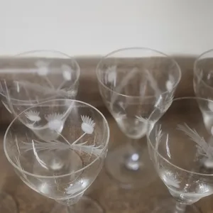 Set of 6 Etched Thistle Glasses