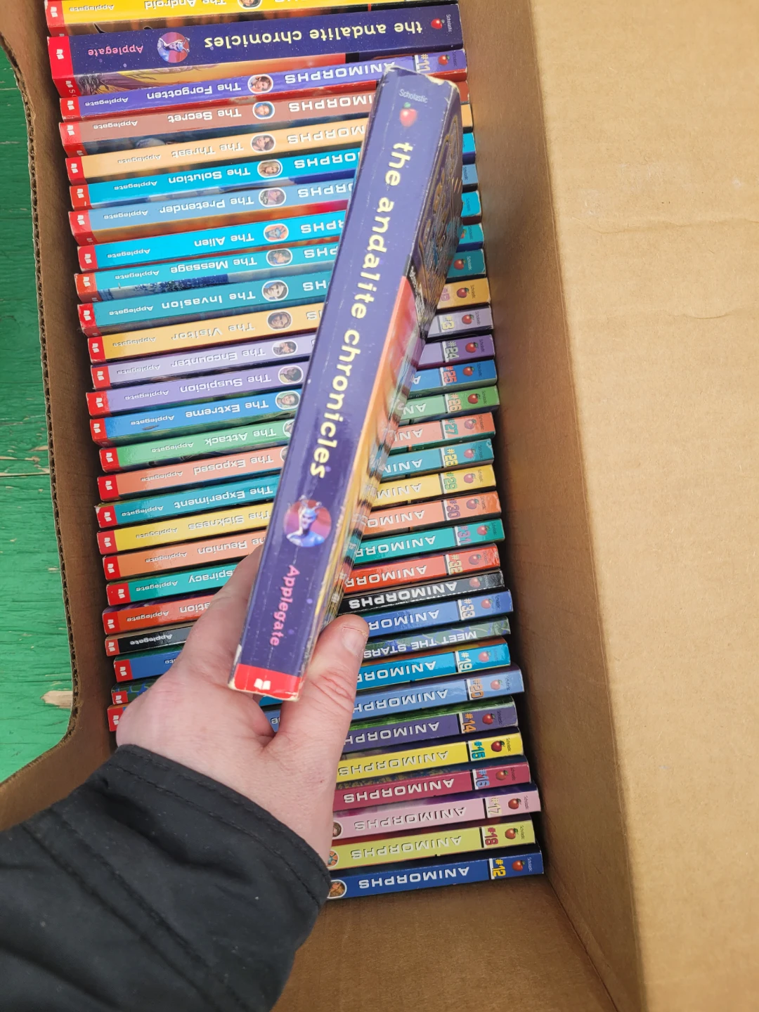 Animorphs Book Collection - photo 2