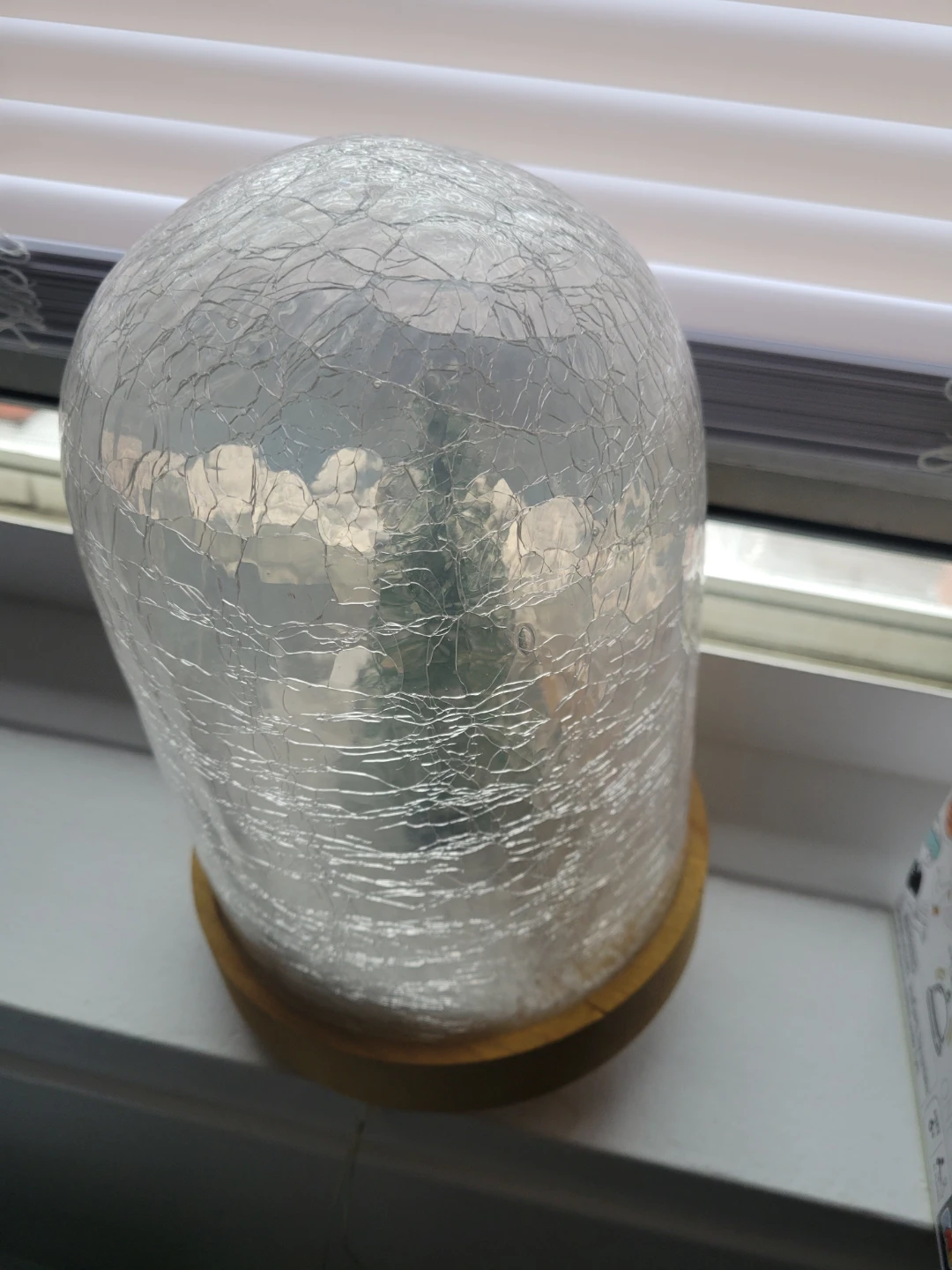 Decorative Crackle Glass Dome with Mini Tree and Lights - photo 2