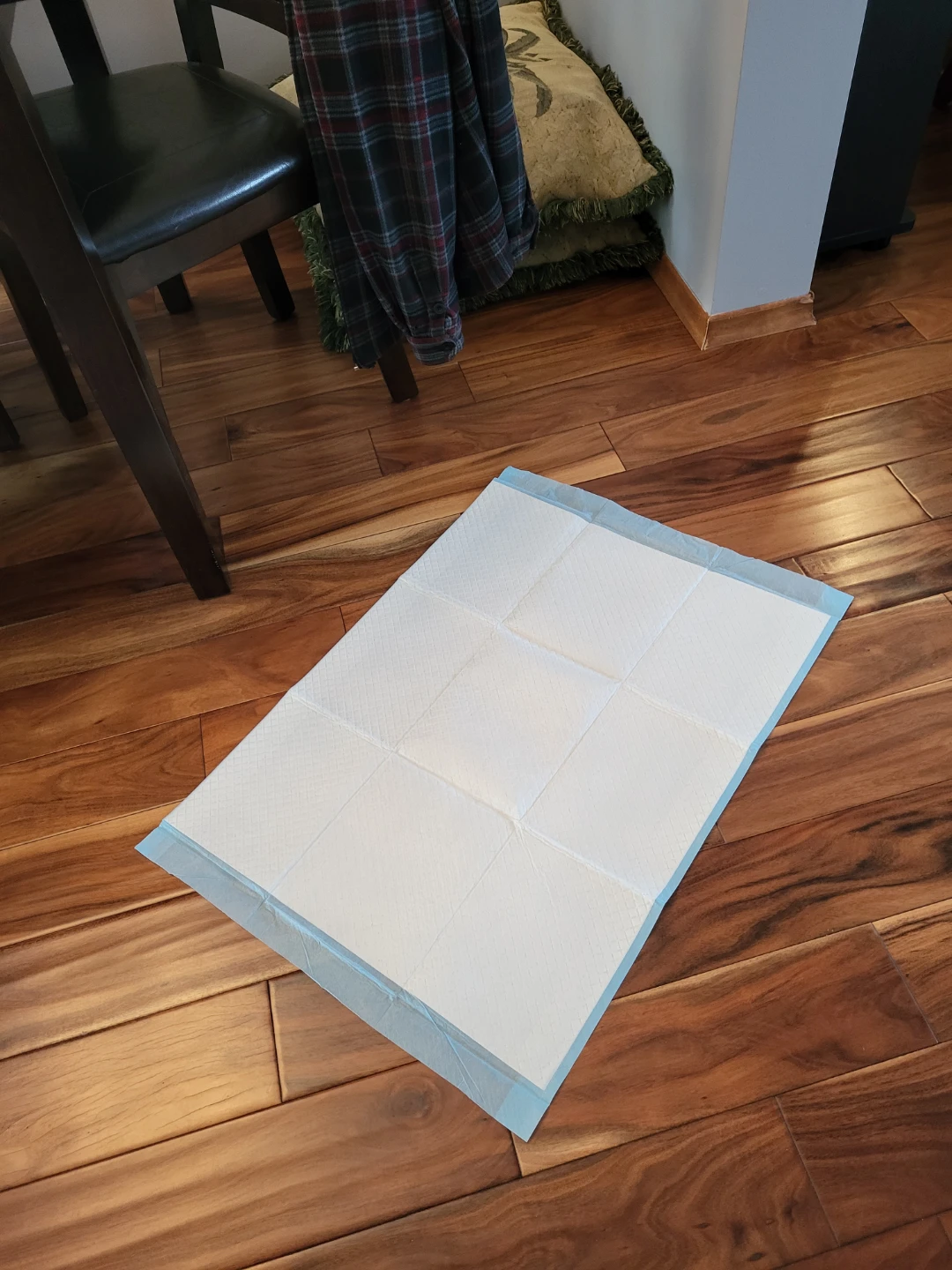 40 Pet Training Pads - photo 2
