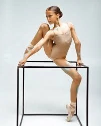 Ballet Barre