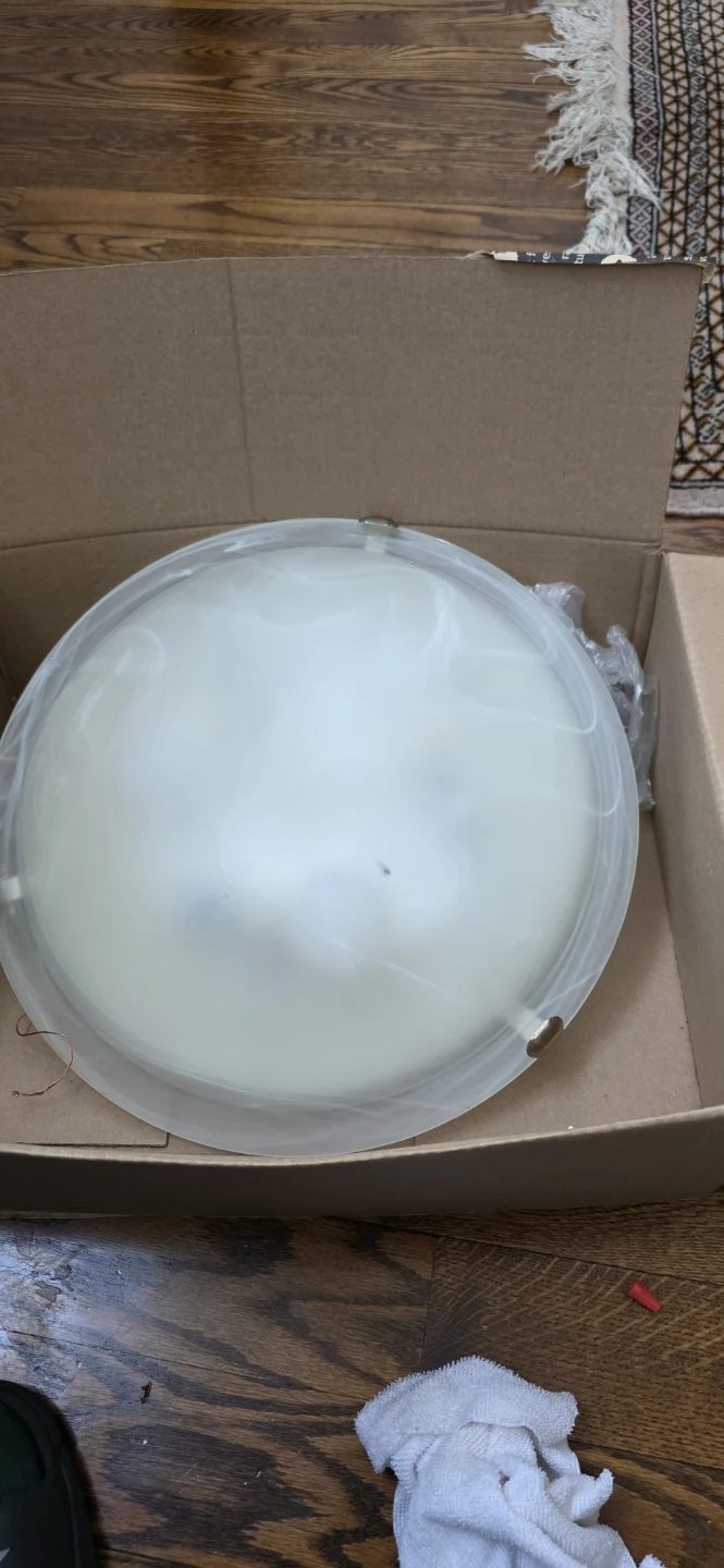 Flush Mount Ceiling Light Fixture - photo 2