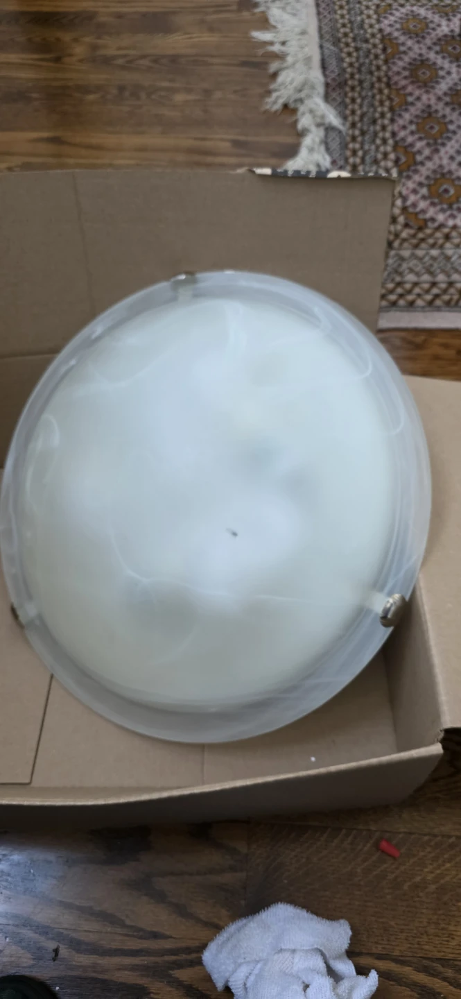 Flush Mount Ceiling Light Fixture - photo 3