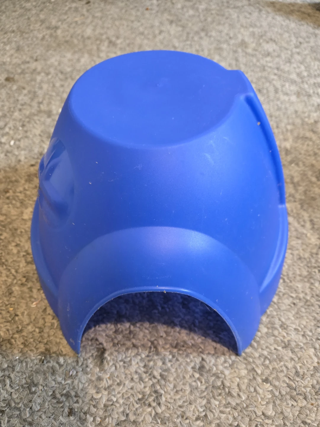 Blue Plastic Hideaway House for Small Animals