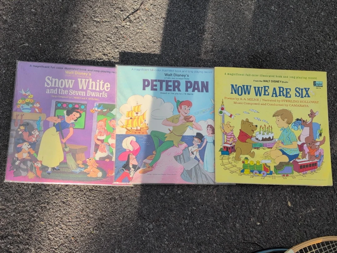 Disney Illustrated Book and Record Set