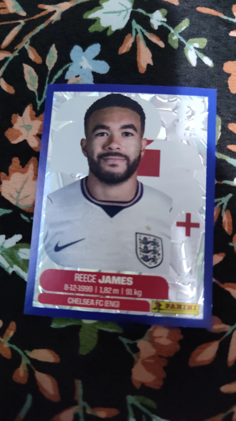 Panini FIFA World Cup 2026 Sticker - Reece James