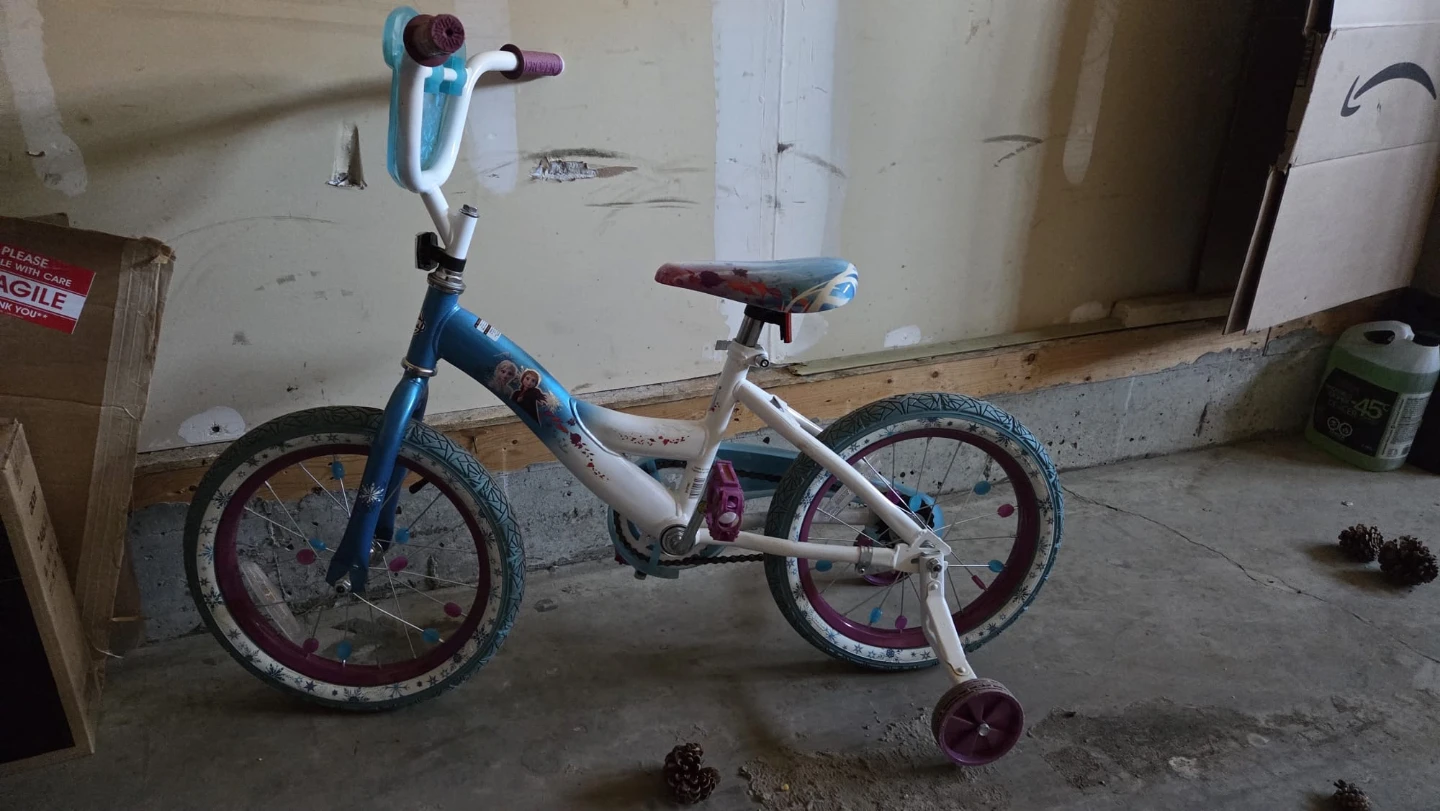 Frozen Kids Bike with Training Wheels