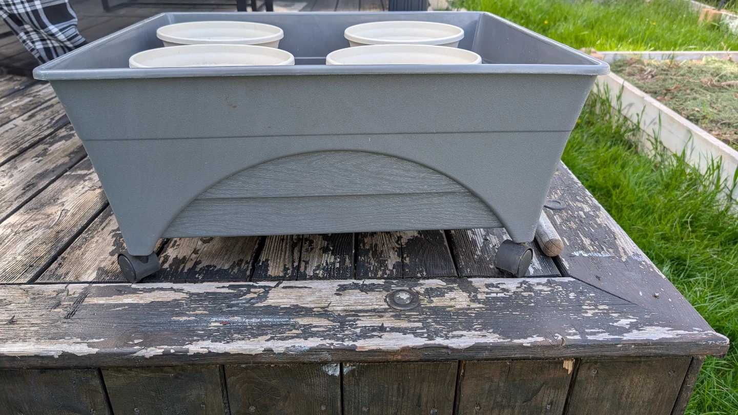 Grey Planter Box with 4 Pots on Wheels - photo 5