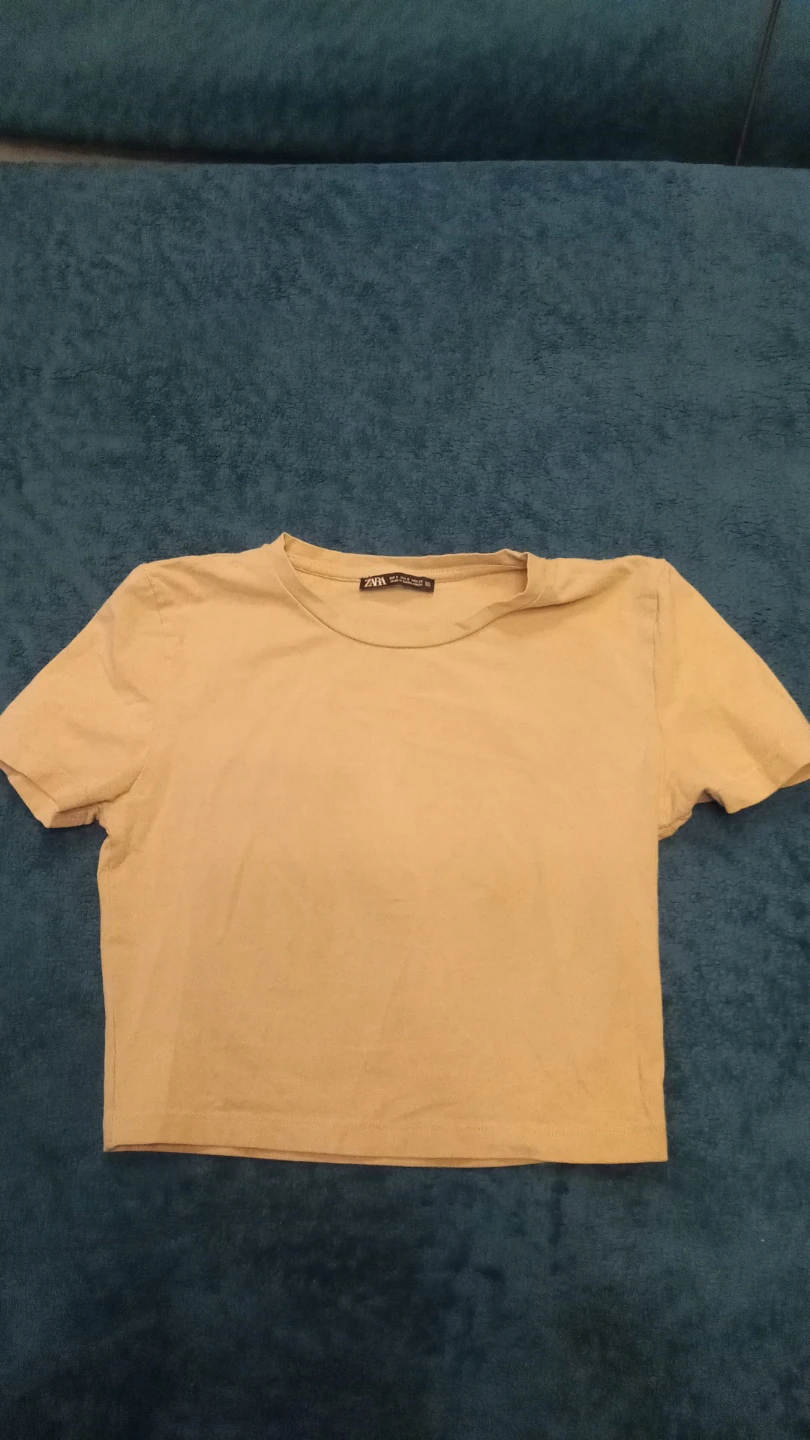 Zara Crop Top