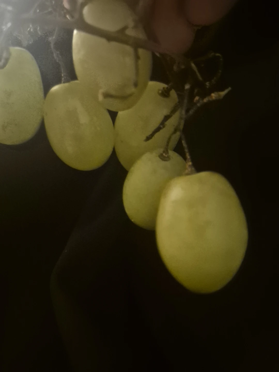 Green Seedless Grapes