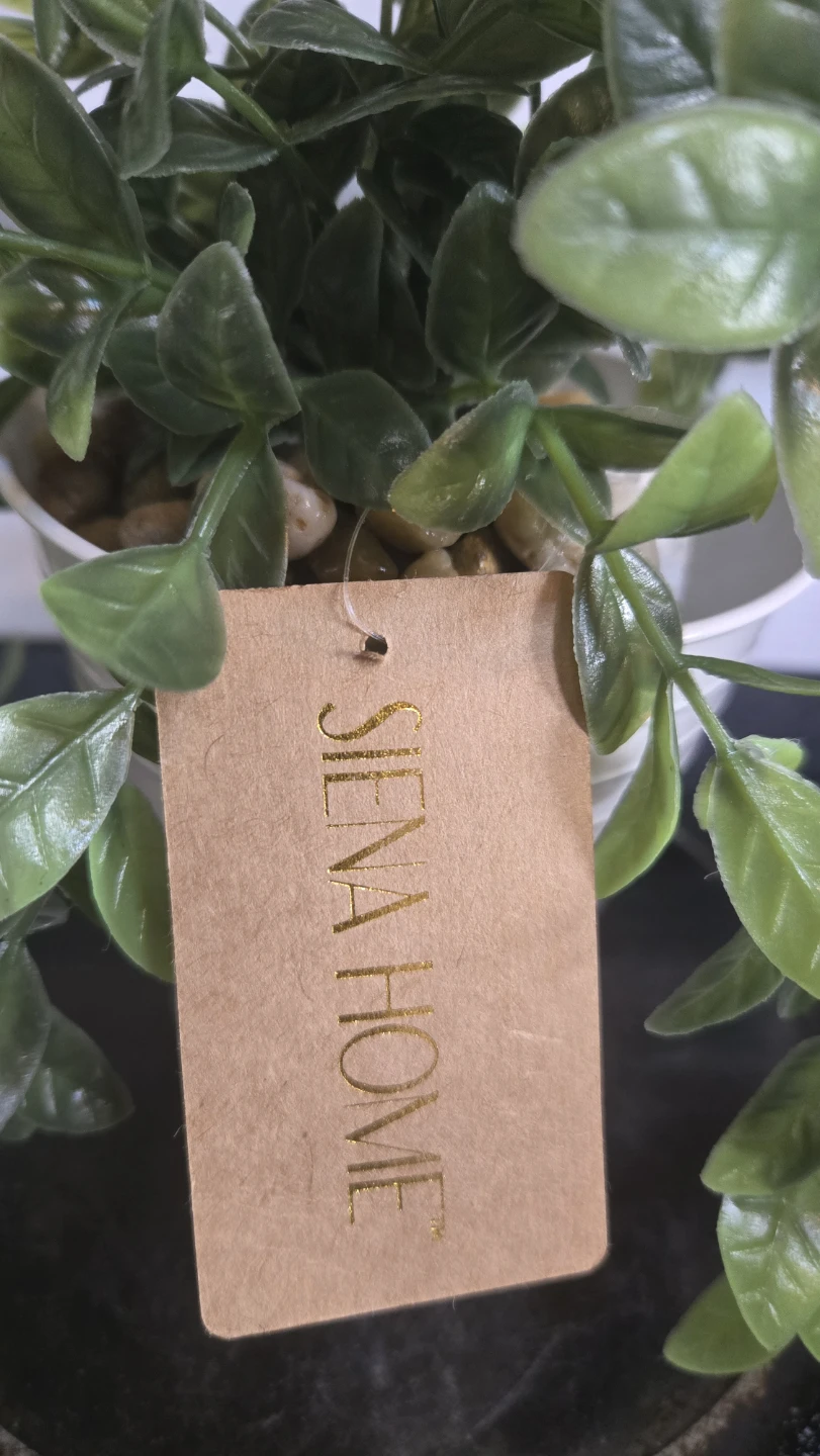 New Siena Home Faux Plant in White Metal Planter - photo 2