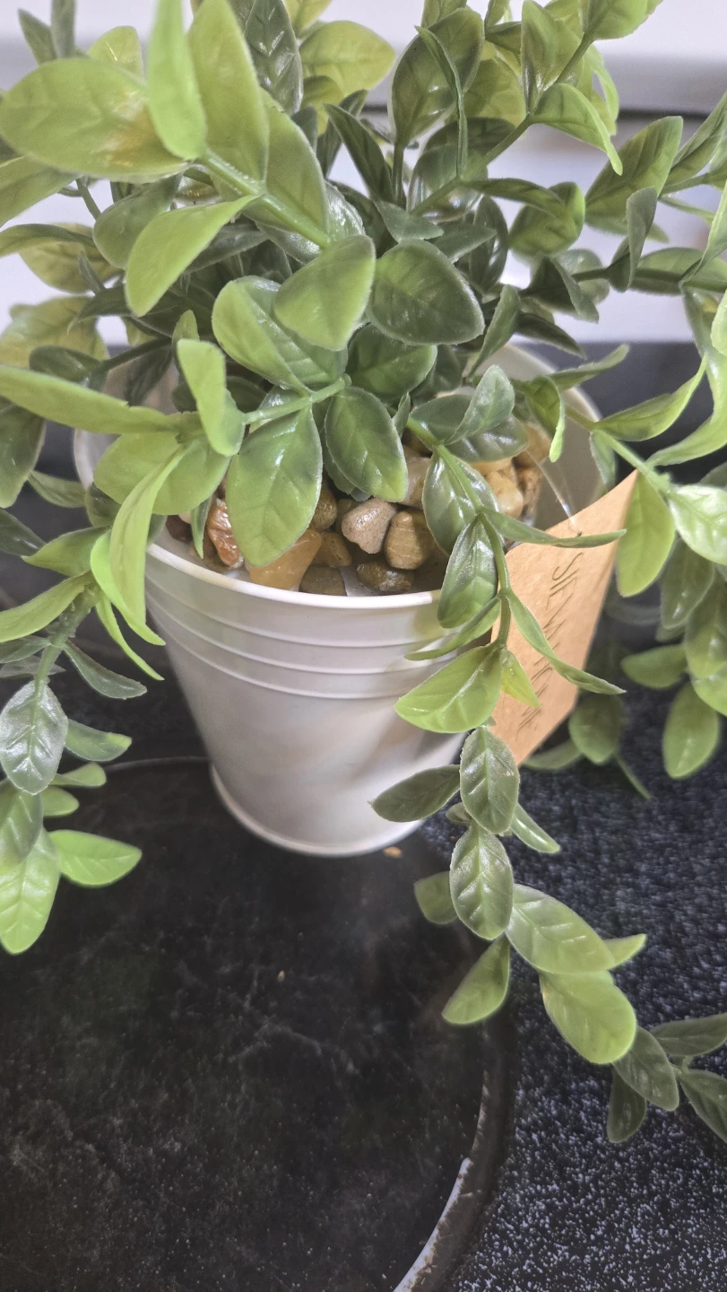 New Siena Home Faux Plant in White Metal Planter - photo 3