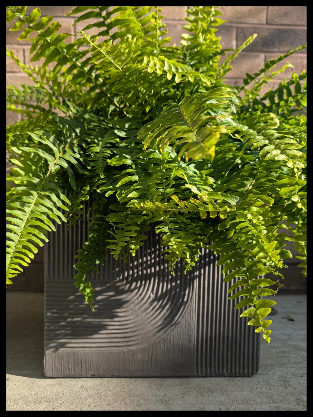 2 square planters