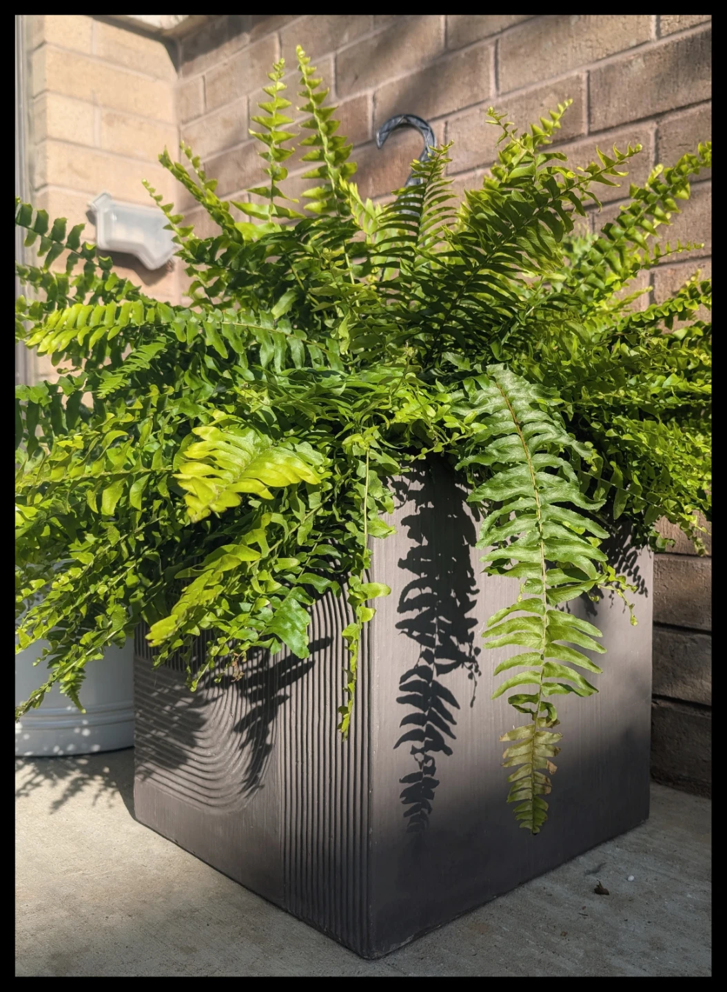 2 square planters - photo 4