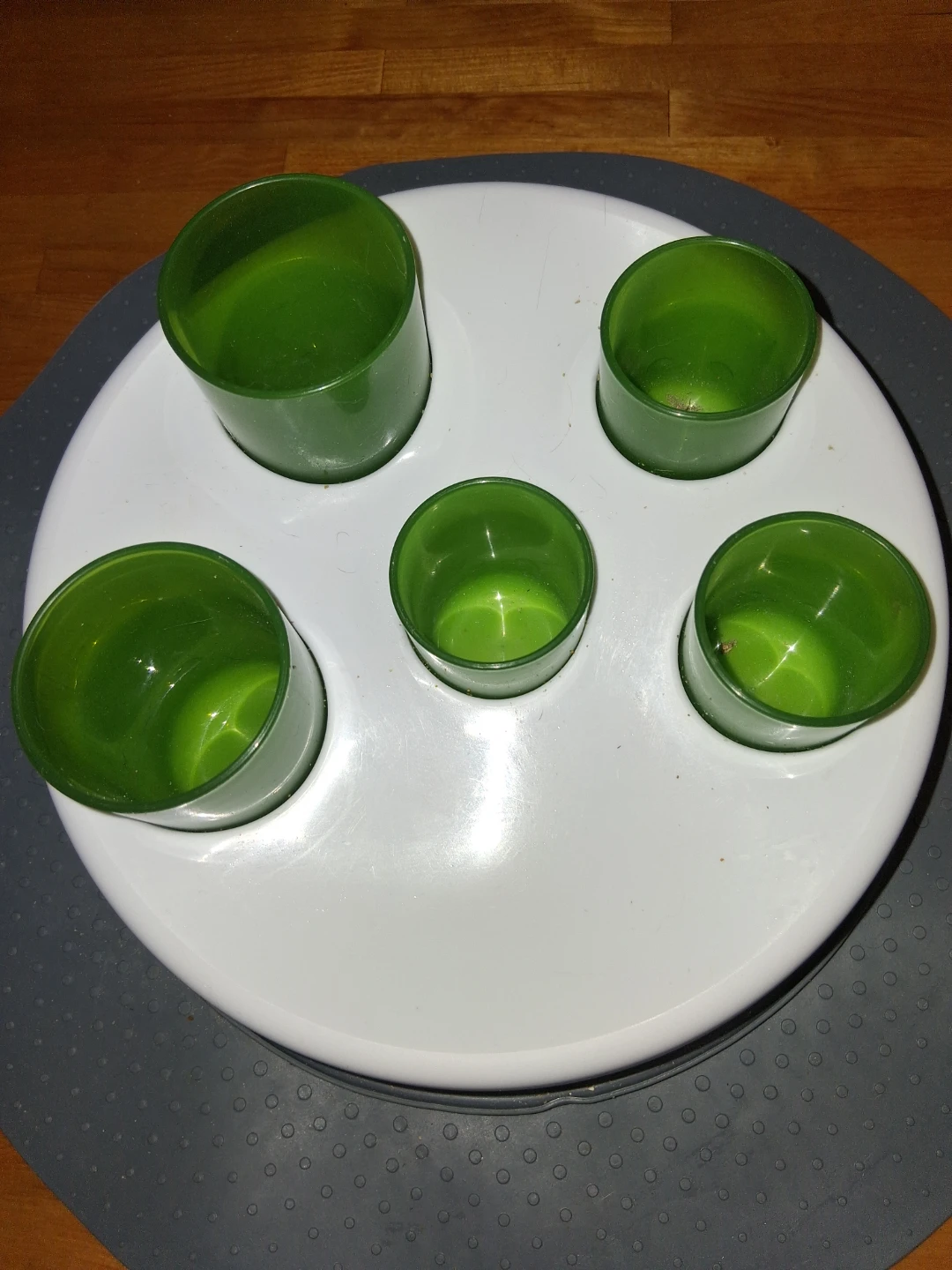 Slow feeder for cat or small dog