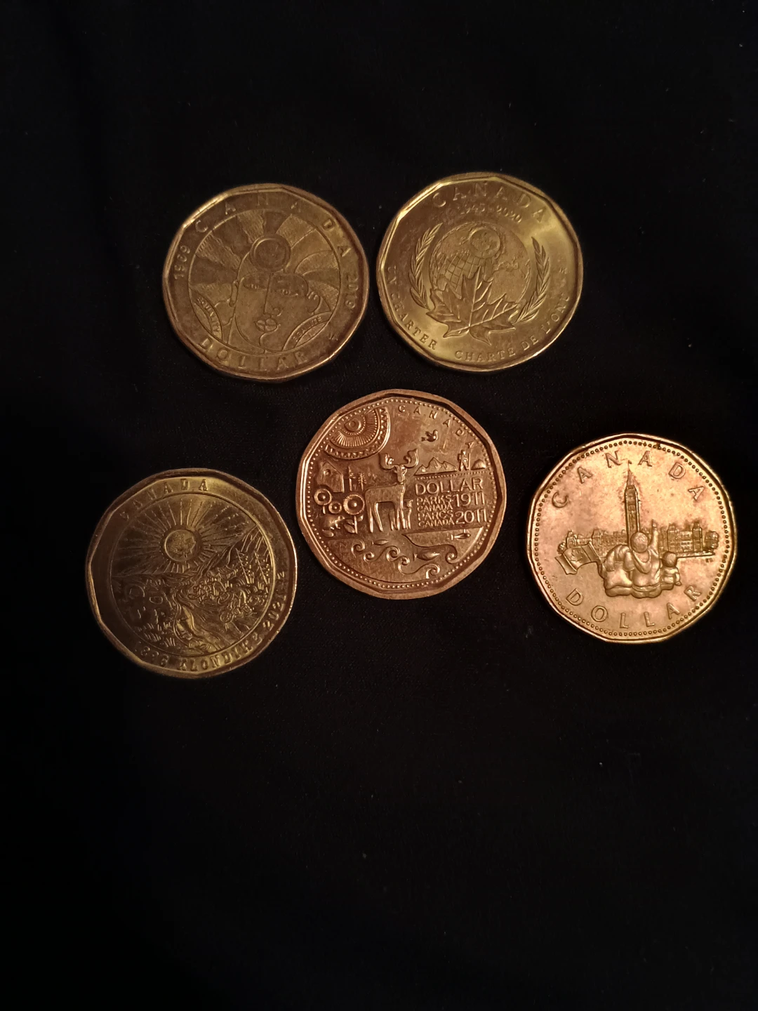 Collection of Canadian Dollar Coins - photo 2