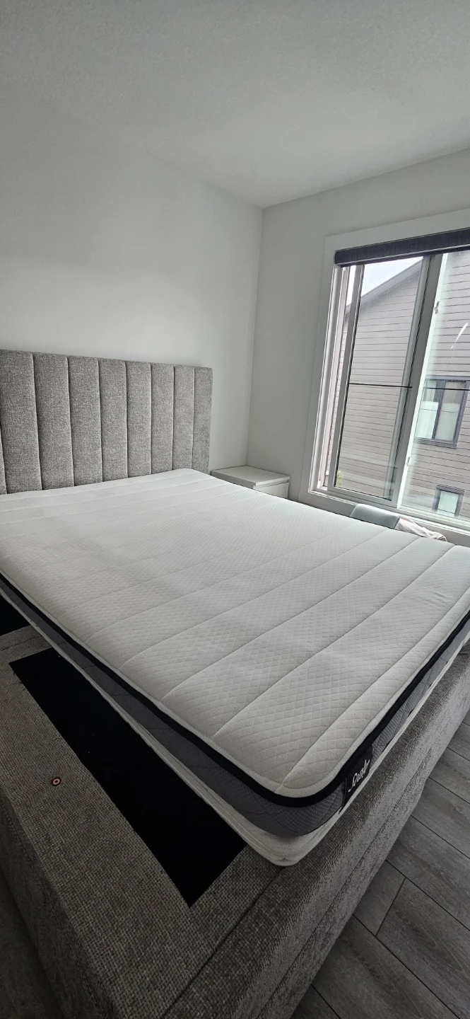 Sealy Queen size mattress
