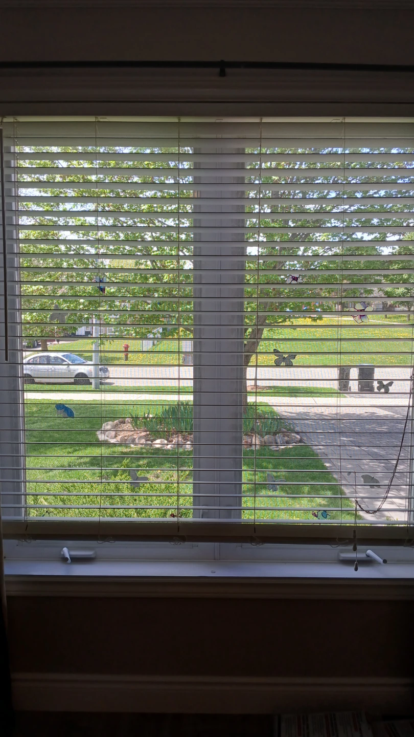 White horizontal blinds