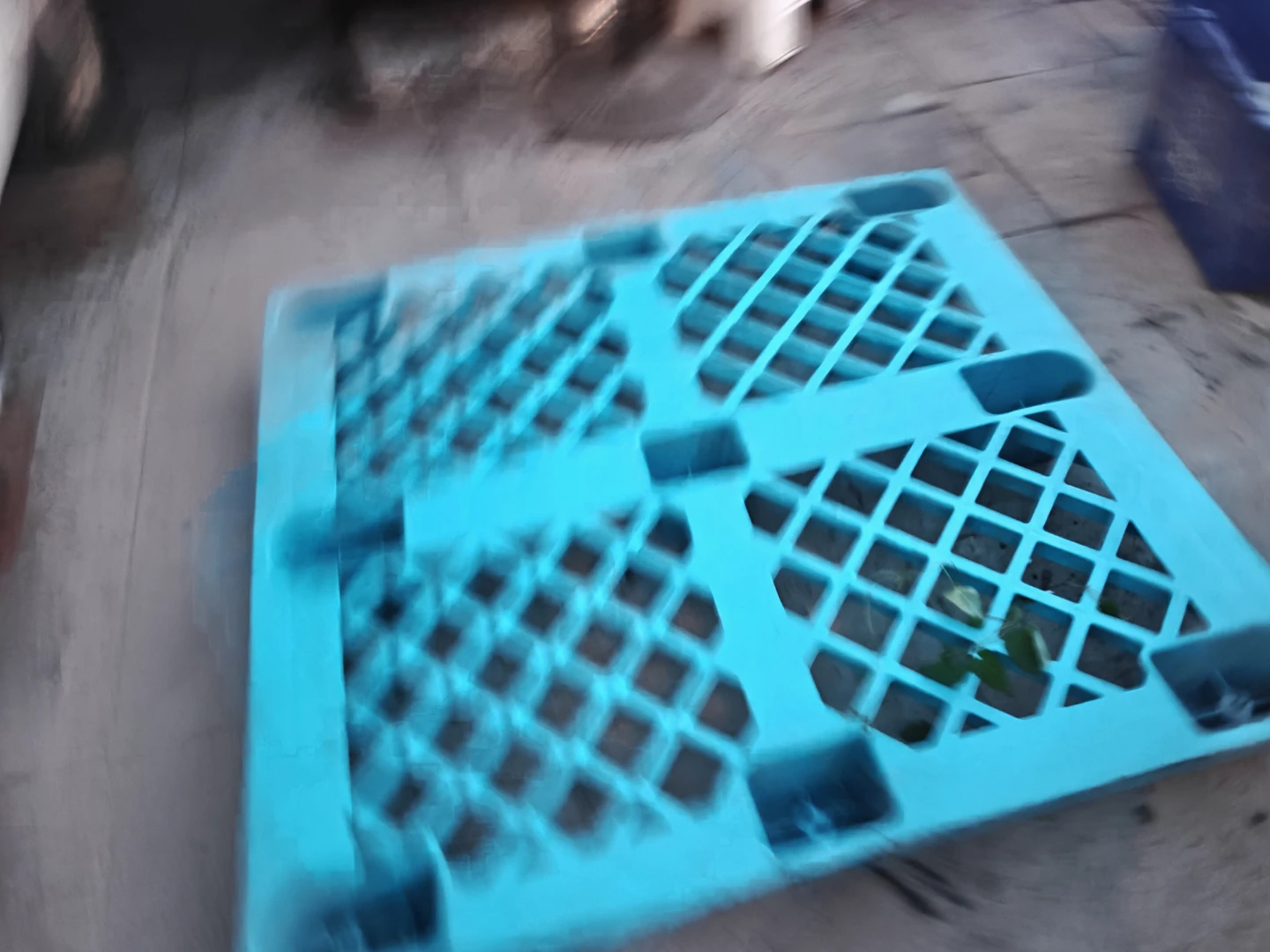 Blue plastic pallet