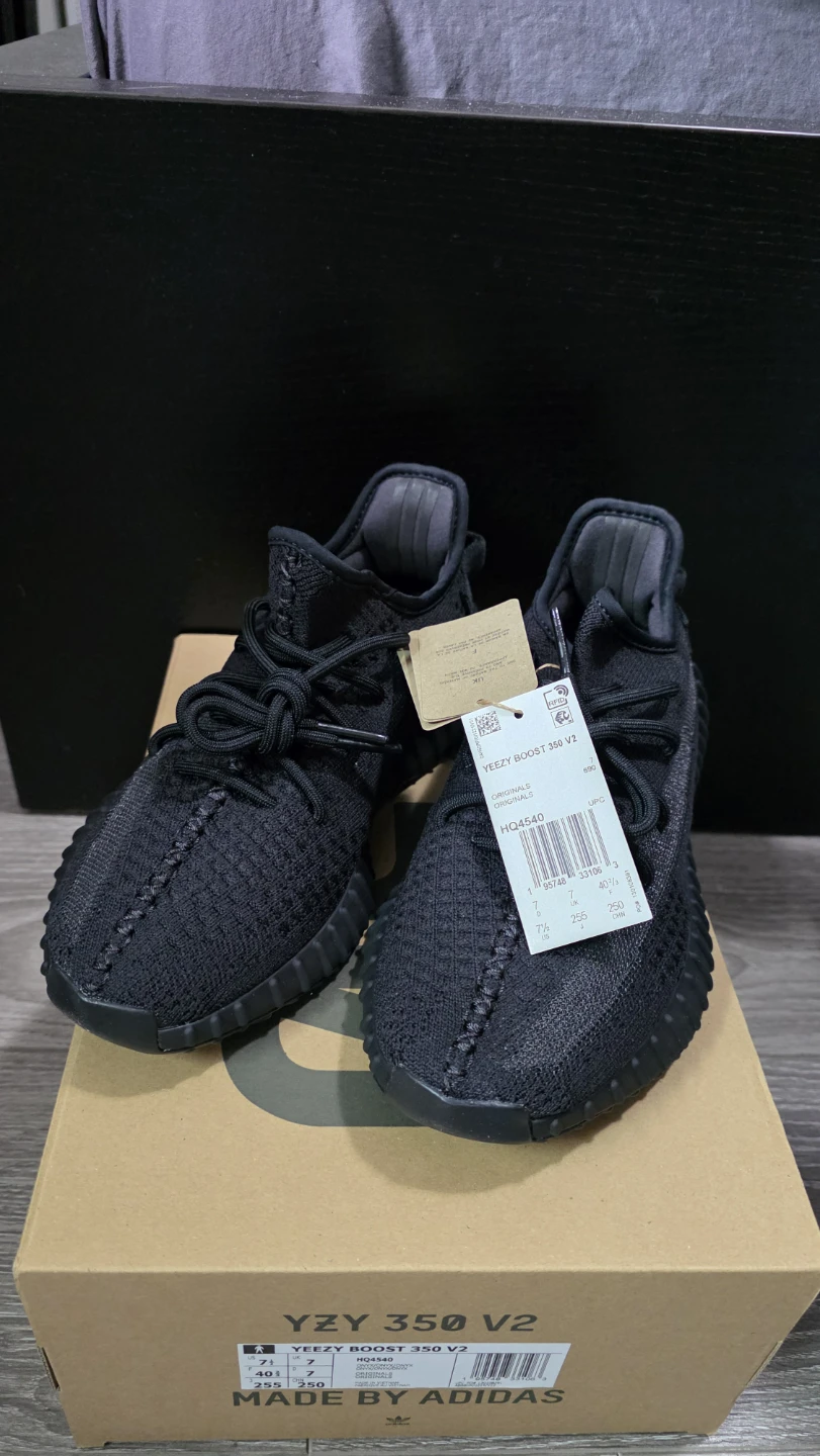 BNIB Adidas Yeezy Boost 350 V2 - Onyx, Bone
