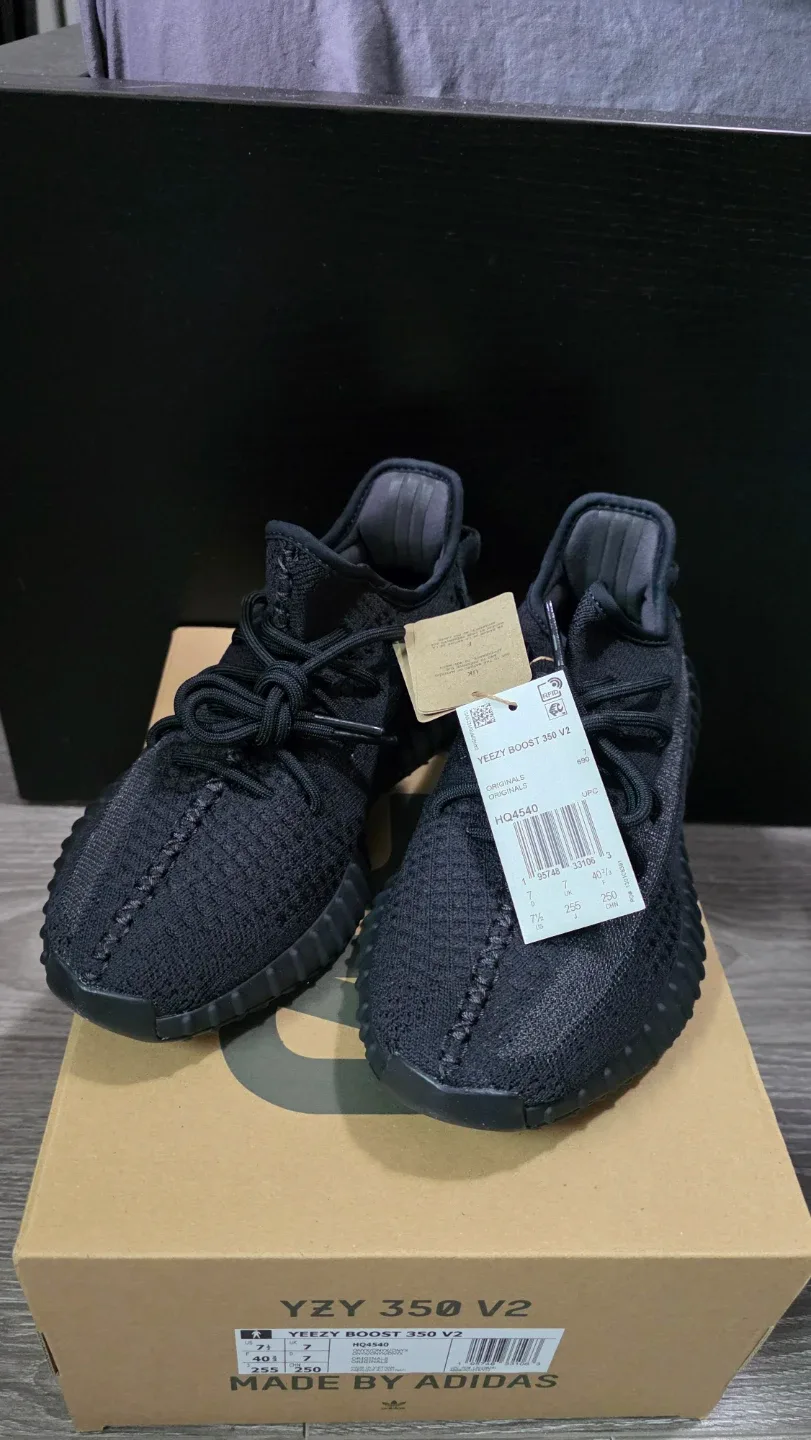 BNIB Adidas Yeezy Boost 350 V2 - Onyx, Bone