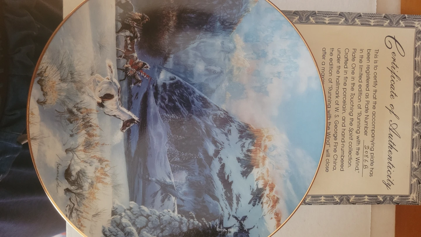 FINE CHINA ANTIQUE PLATES - photo 4